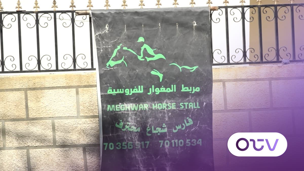 فروسية ونهر: عجدبرين تحوّل الشغف بالخيل إلى تجربة سياحية متكاملة
